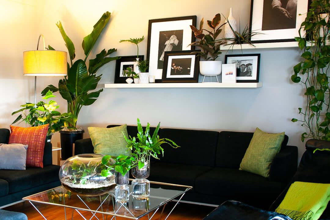 Style Your San Diego Home with Plants - Green Fresh Florals + Plants