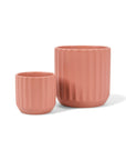 3.75" and 4.75" Pink Beam Pot from Green Fresh Florals + Plants