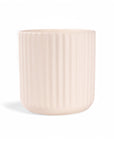 4.75" Ivory Beam Pot from Green Fresh Florals + Plants