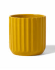 4.75 Mustard Beam Pot from Green Fresh Florals + Plants