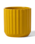 7" Mustard Beam Pot from Green Fresh Florals + Plants