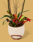 Autumn Orchid Planting from Green Fresh Florals + Plants