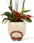 Decorative plant in a textured pot with wooden accents on a white background