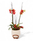 Autumn Orchid Planting from Green Fresh Florals + Plants