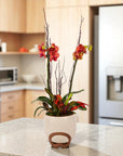 Autumn Orchid Planting from Green Fresh Florals + Plants
