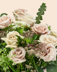Blush Long Stem Roses from Green Fresh Florals + Plants