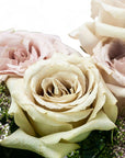 Blush Long Stem Roses from Green Fresh Florals + Plants