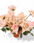 Blushing Rose Floral from Green Fresh Florals + Plants