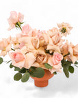 Blushing Rose Floral