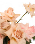Blushing Rose Floral