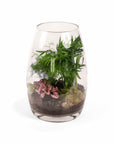 Bullet Terrarium from Green Fresh Florals + Plants