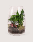 Bullet Vase Terrarium