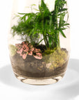 Bullet Terrarium from Green Fresh Florals + Plants