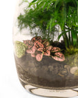 Bullet Terrarium from Green Fresh Florals + Plants