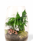 Bullet Terrarium from Green Fresh Florals + Plants