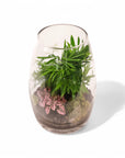 Bullet Terrarium from Green Fresh Florals + Plants