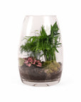 Bullet Terrarium from Green Fresh Florals + Plants