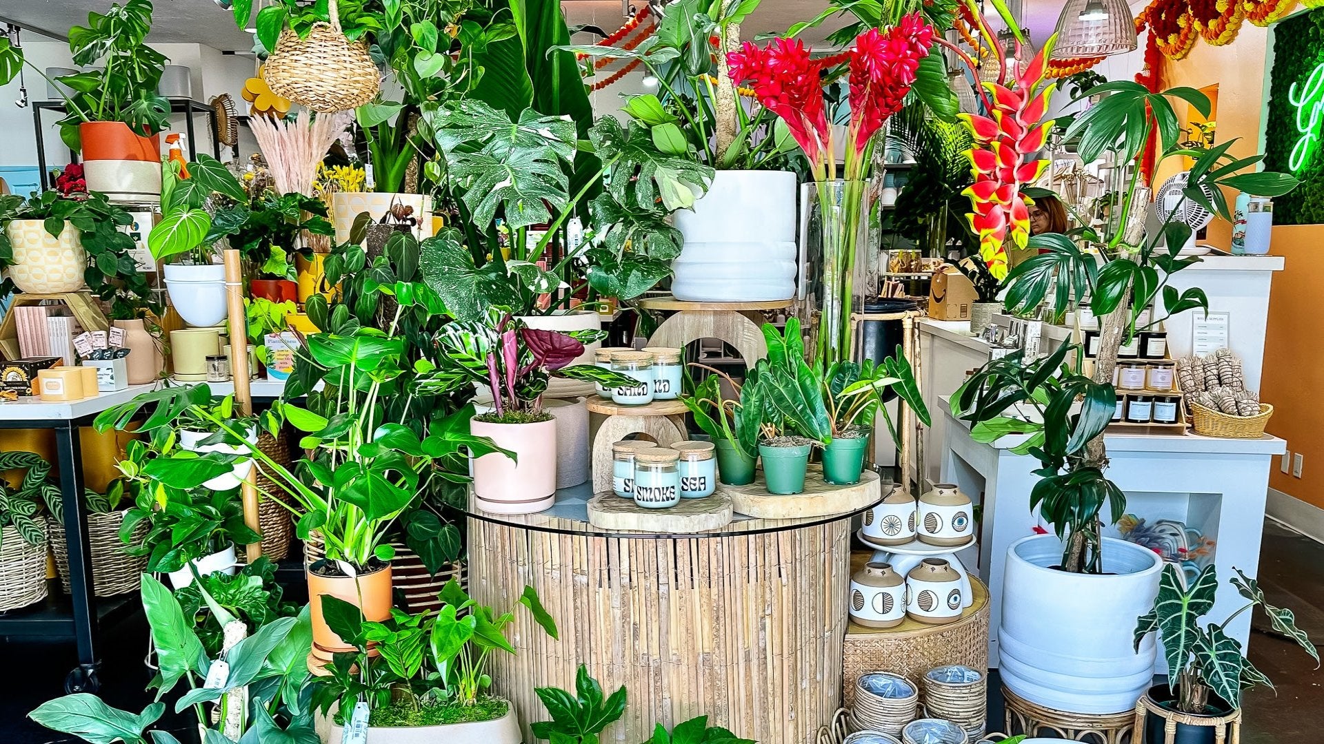 Contact Us Background Banner for Green Fresh Florals + Plants
