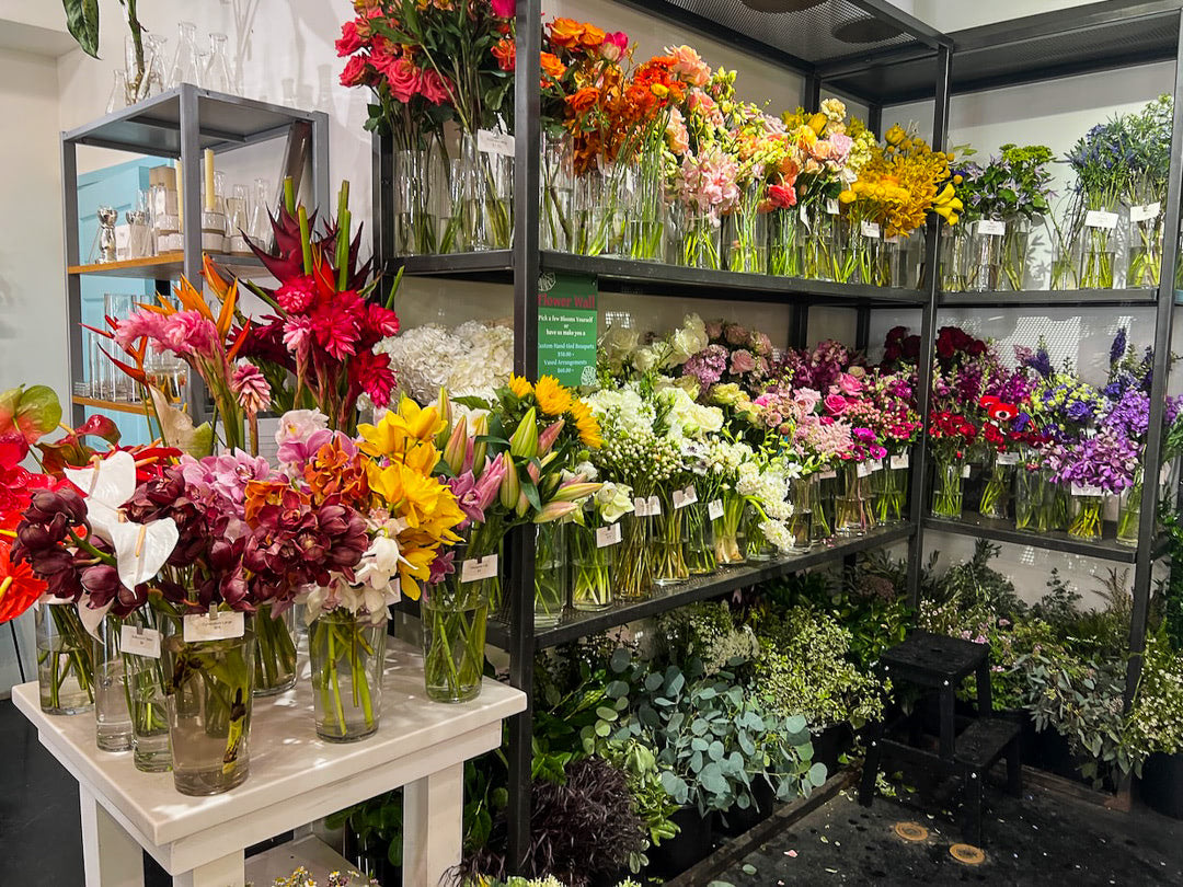 Green Fresh Flower Wall Display inside Green Fresh Florals + Plants in Hillcrest