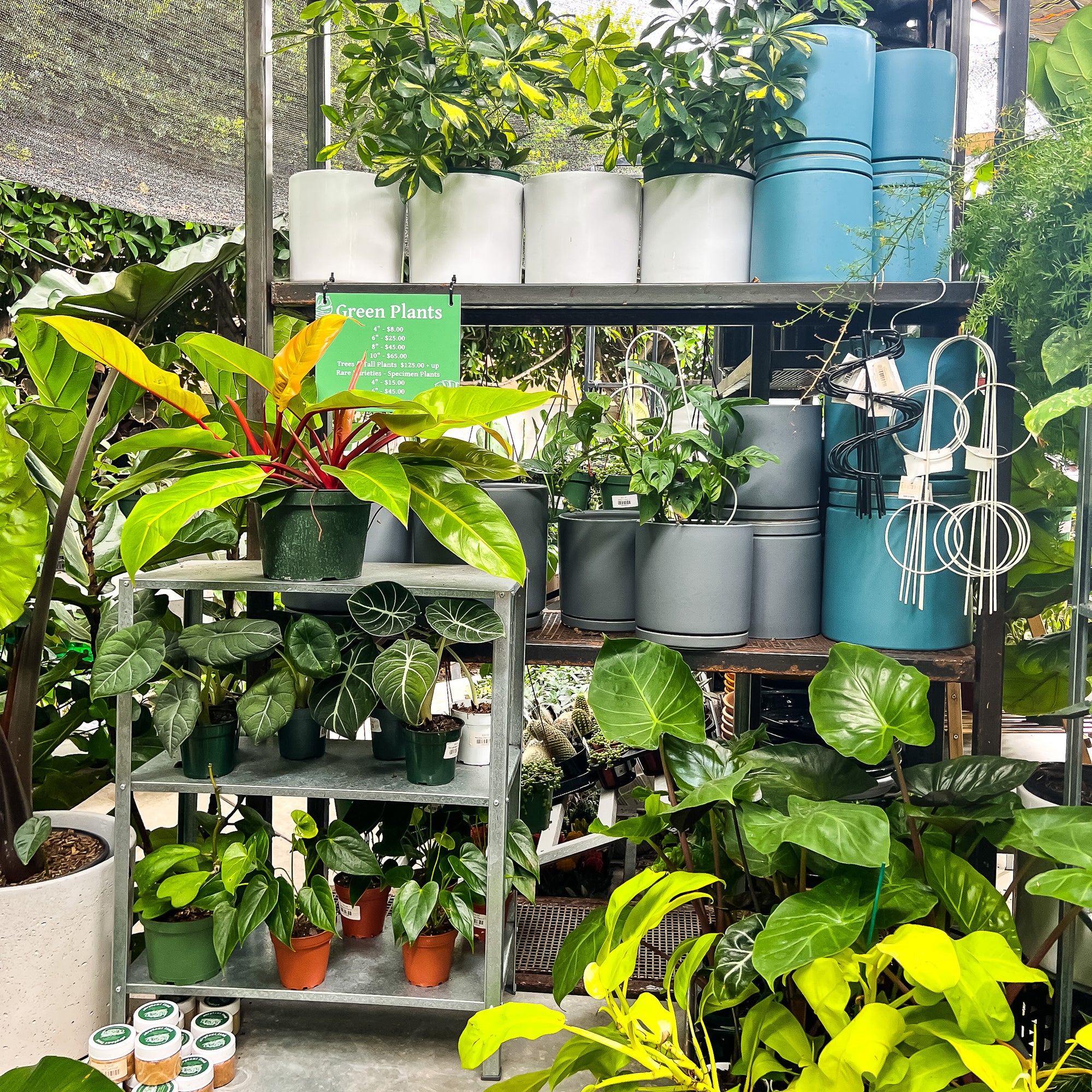 A photograph of plants, pots, and plant accessories on the outdoor garden patio at Green Fresh Florals + Plants in Hillcrest