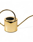 Henri Watering Can From Green Fresh Florals + Plants