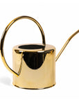 Henri Watering Can From Green Fresh Florals + Plants
