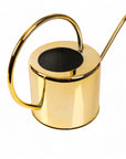 Henri Watering Can From Green Fresh Florals + Plants