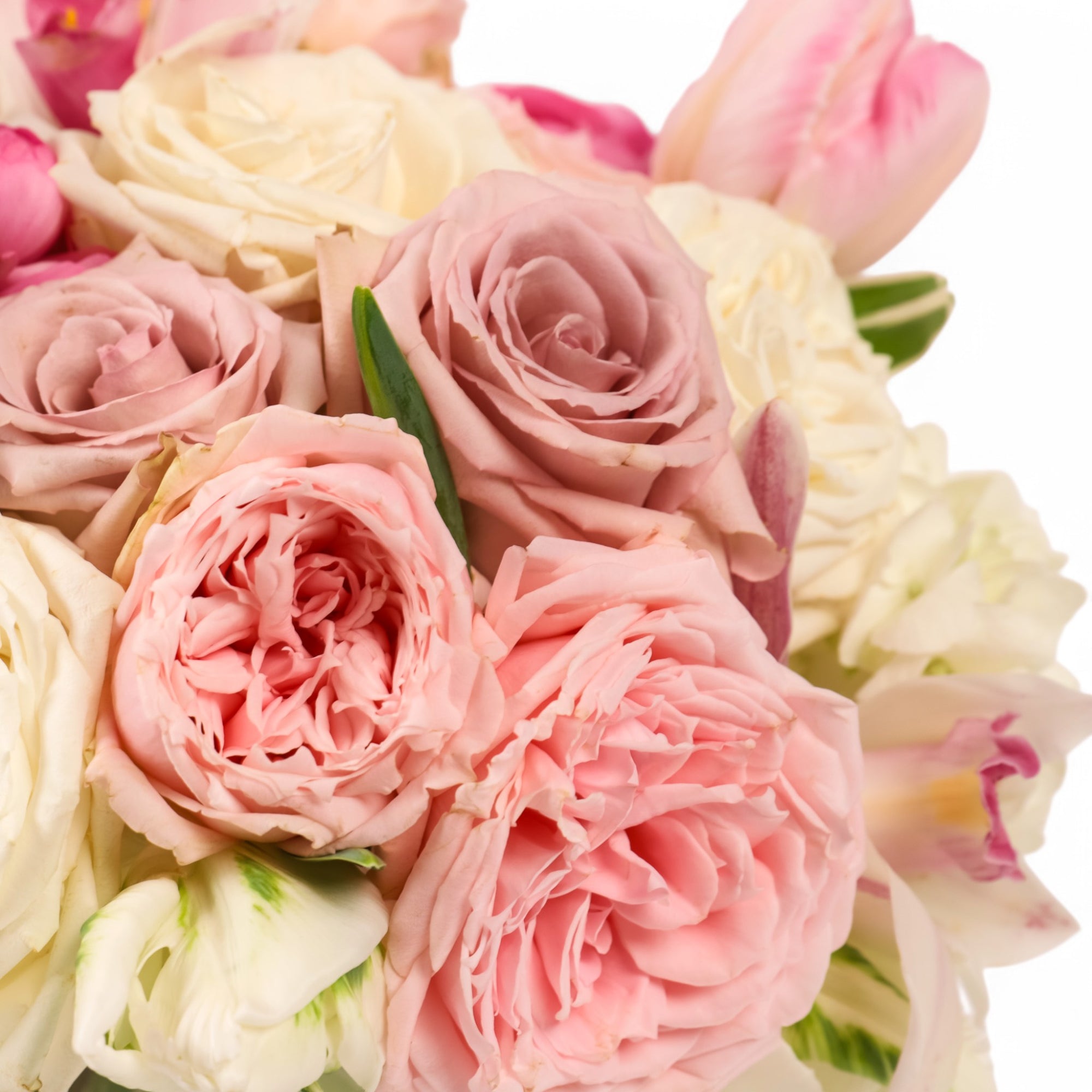 Lavish Love Designer Floral from Green Fresh Florals + Plants