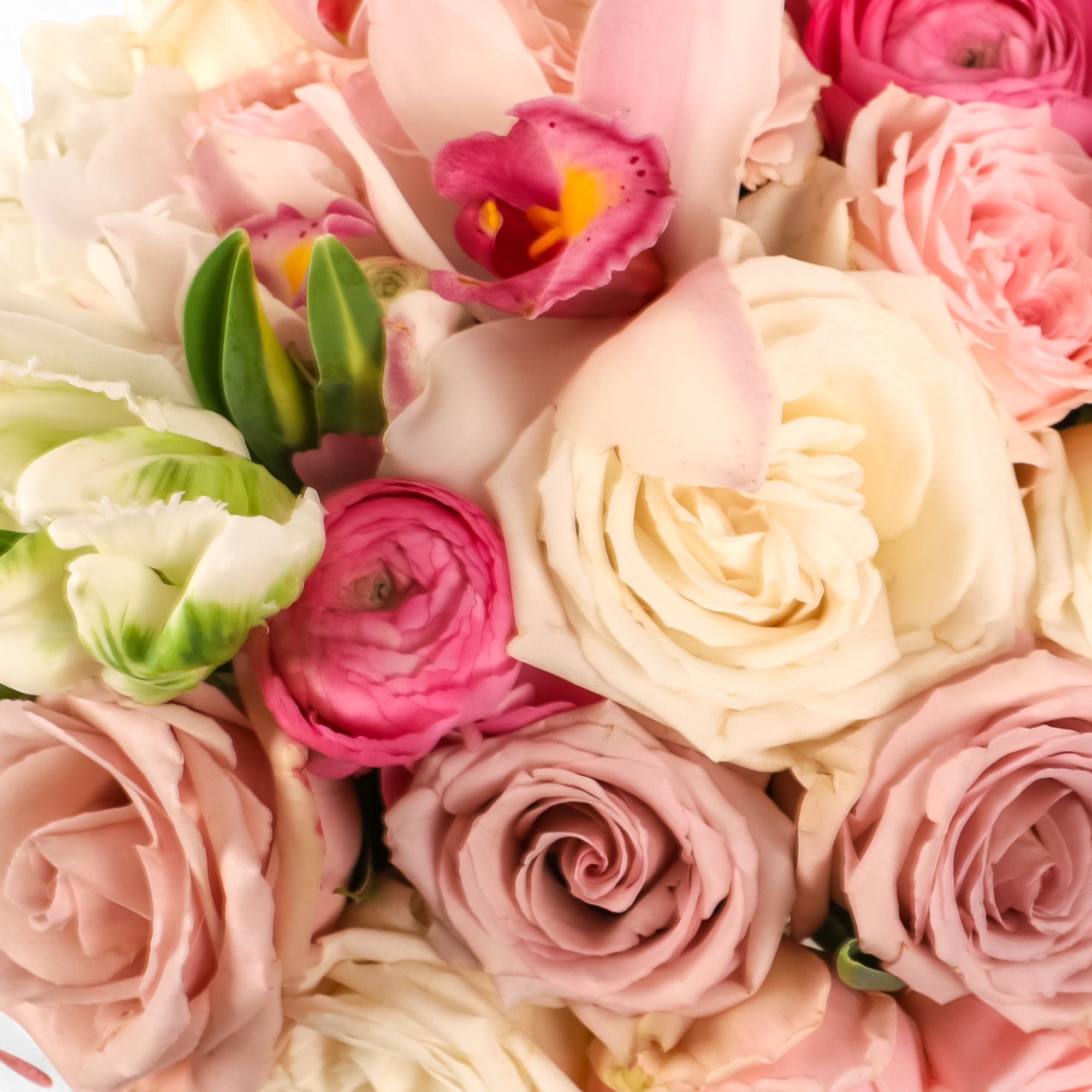 Lavish Love Designer Floral from Green Fresh Florals + Plants