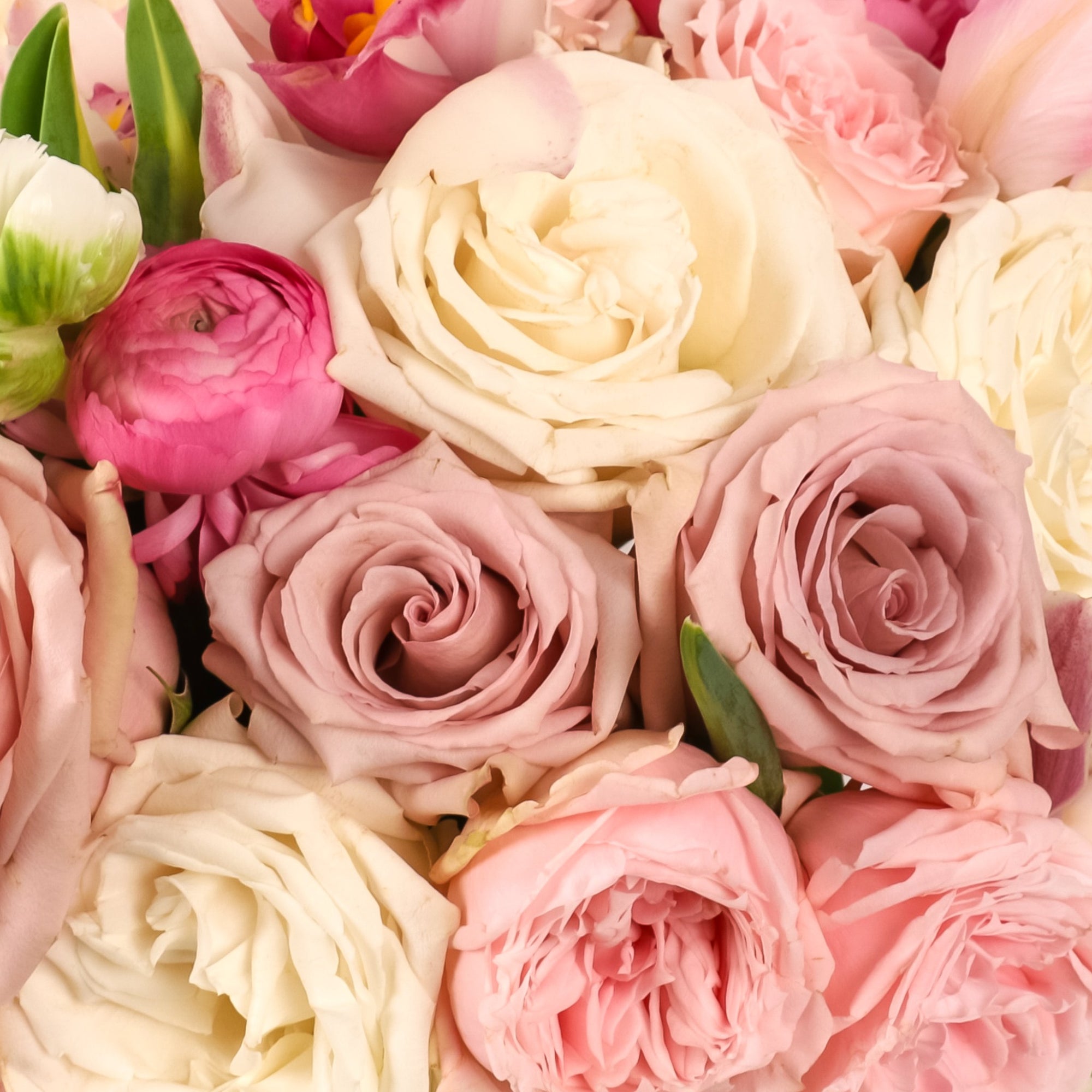 Lavish Love Designer Floral from Green Fresh Florals + Plants