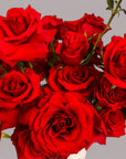 Love Deluxe Designer Floral from Green Fresh Florals + Plants