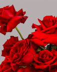 Love Deluxe Designer Floral from Green Fresh Florals + Plants