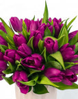 Modern Tulips