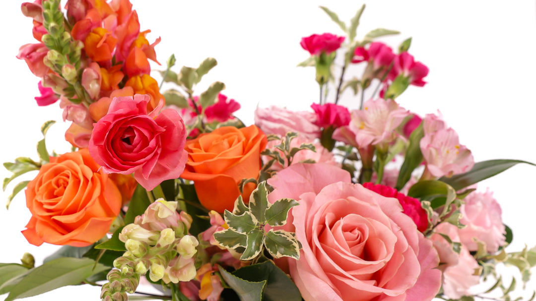 Order Fresh Spring Flowers Online from Green Fresh Florals & Plants, San Diego's Finest Florist
