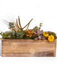 Rectangle Wood Box Succulent Planting from Green Fresh Florals + Plants