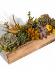 Rectangle Wood Box Succulent Planting from Green Fresh Florals + Plants