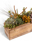 Rectangle Wood Box Succulent Planting from Green Fresh Florals + Plants