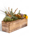 Rectangle Wood Box Succulent Planting from Green Fresh Florals + Plants