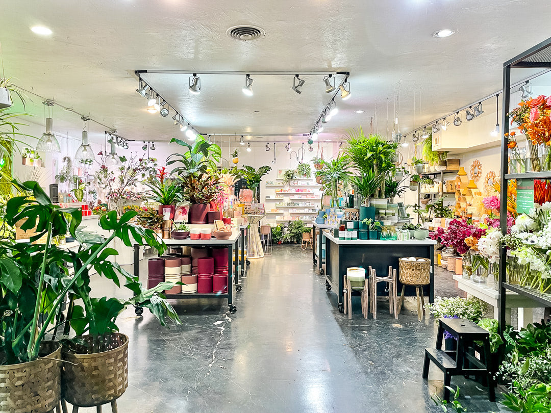 Green Fresh Florals + Plants, San Diego Flower and Plant Shop in Hillcrest