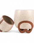 Medium and Small Omni Footed Pot from Green Fresh Florals + Plants