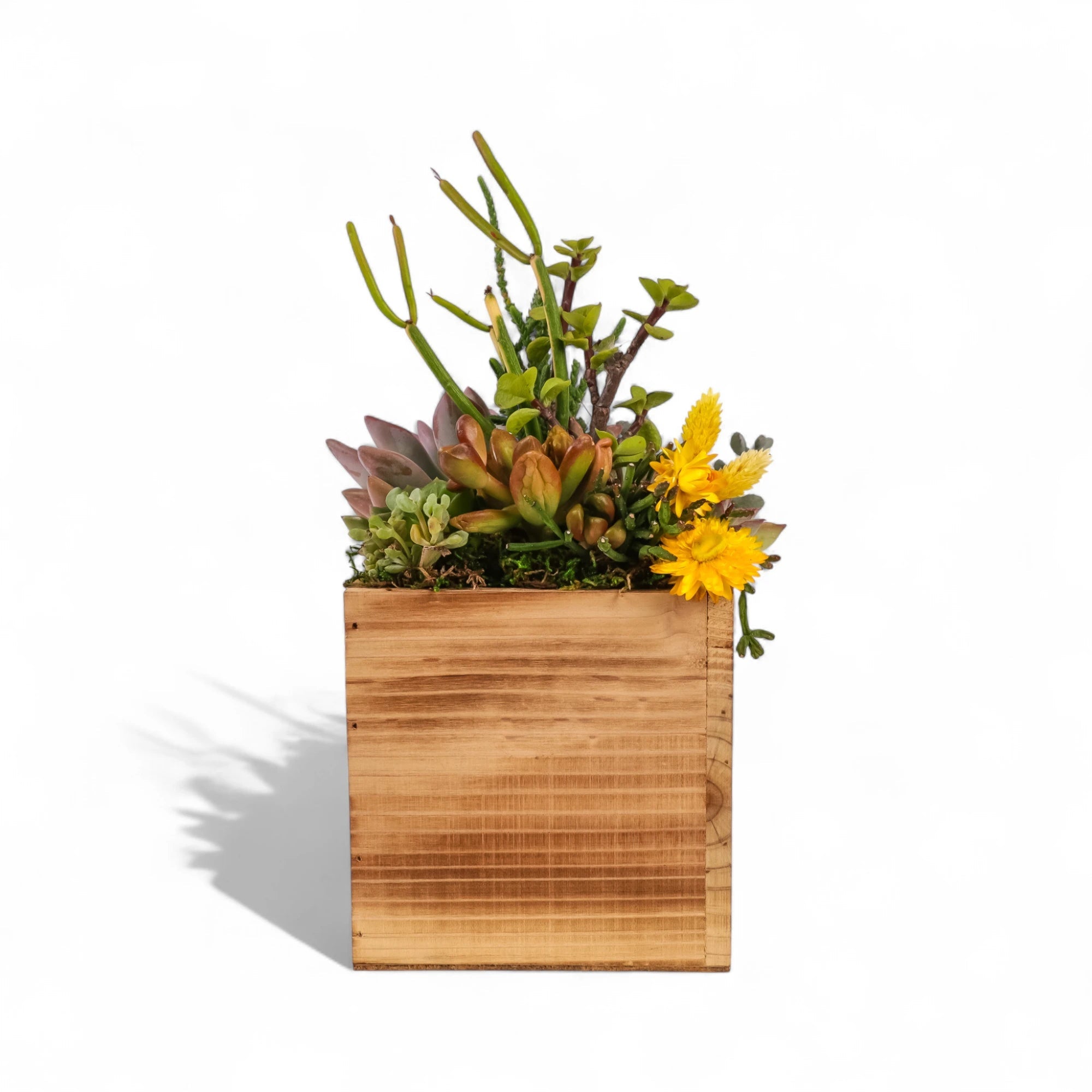 Square Wood Box Succulent Planting from Green Fresh Florals + Plants