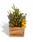 Square Wood Box Succulent Planting from Green Fresh Florals + Plants