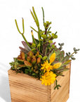 Square Wood Box Succulent Planting from Green Fresh Florals + Plants