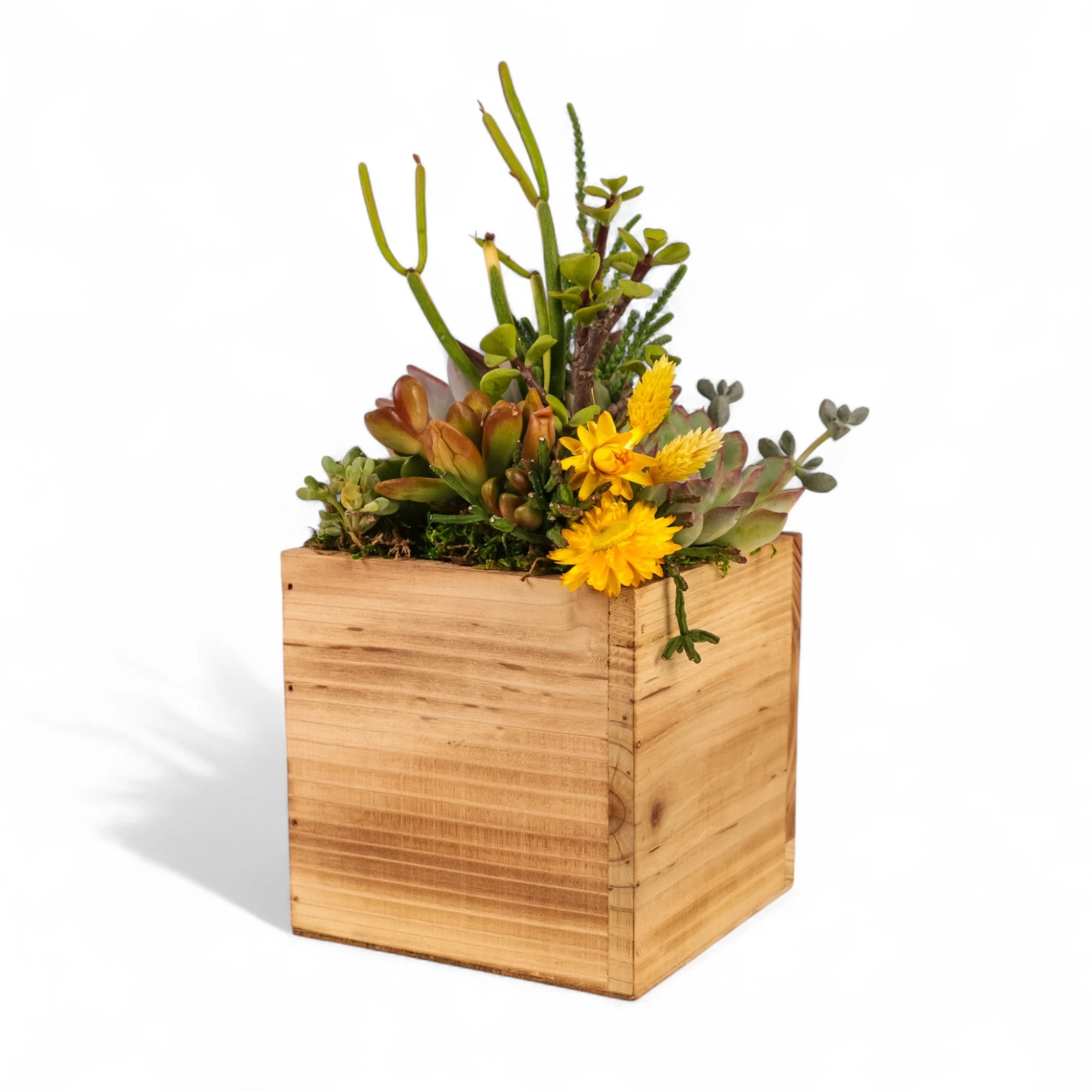 Square Wood Box Succulent Planting from Green Fresh Florals + Plants