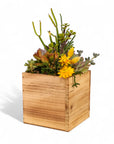 Wood Box Succulent Planting