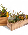 Square and Rectangle Wood Box Succulent Planting from Green Fresh Florals + Plants