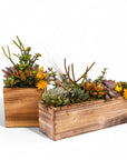 Square and Rectangle Wood Box Succulent Planting from Green Fresh Florals + Plants