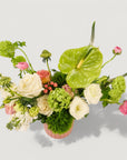 Watermelon Sugar Floral from Green Fresh Florals + Plants