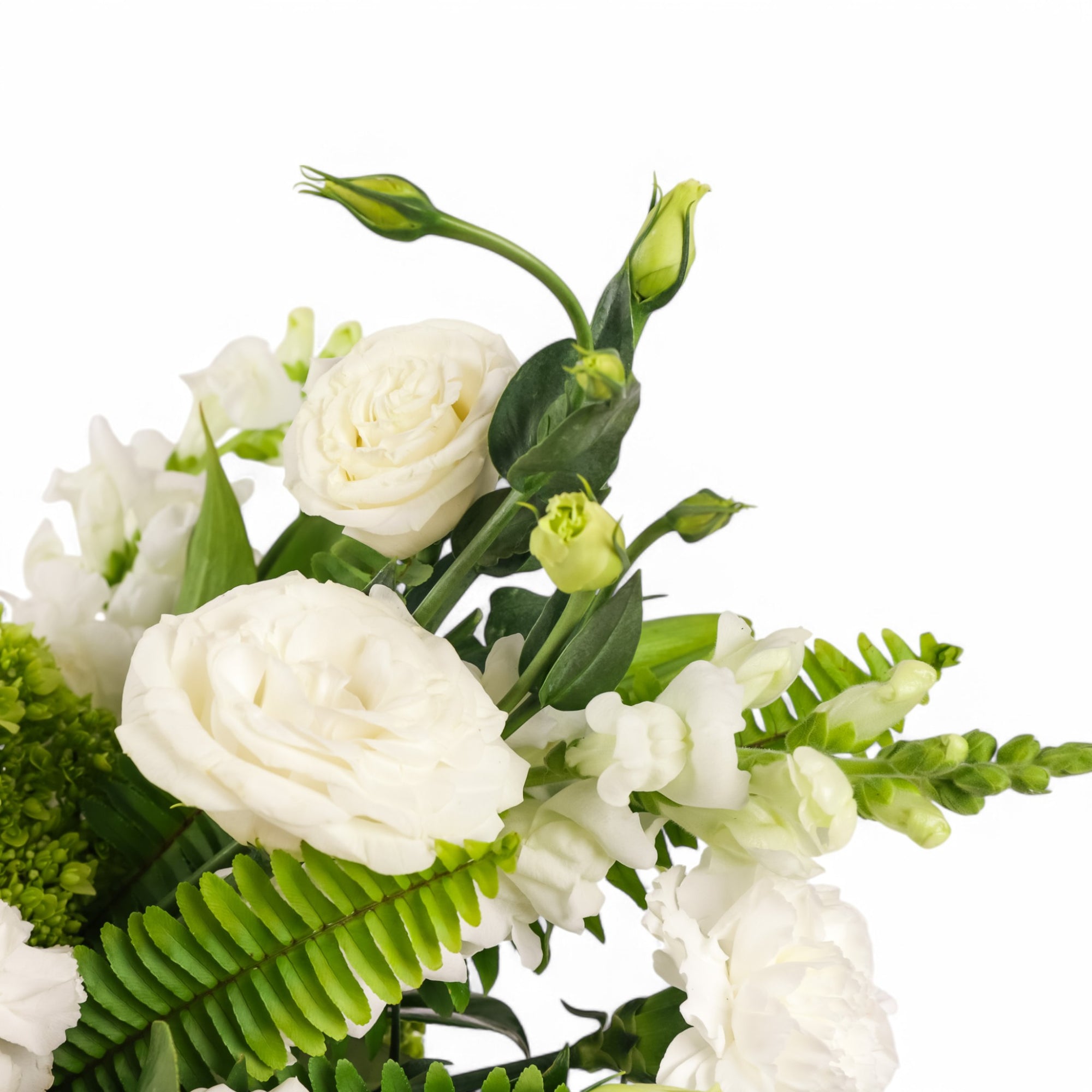 White Whispers Designer Floral from Green Fresh Florals + Plants