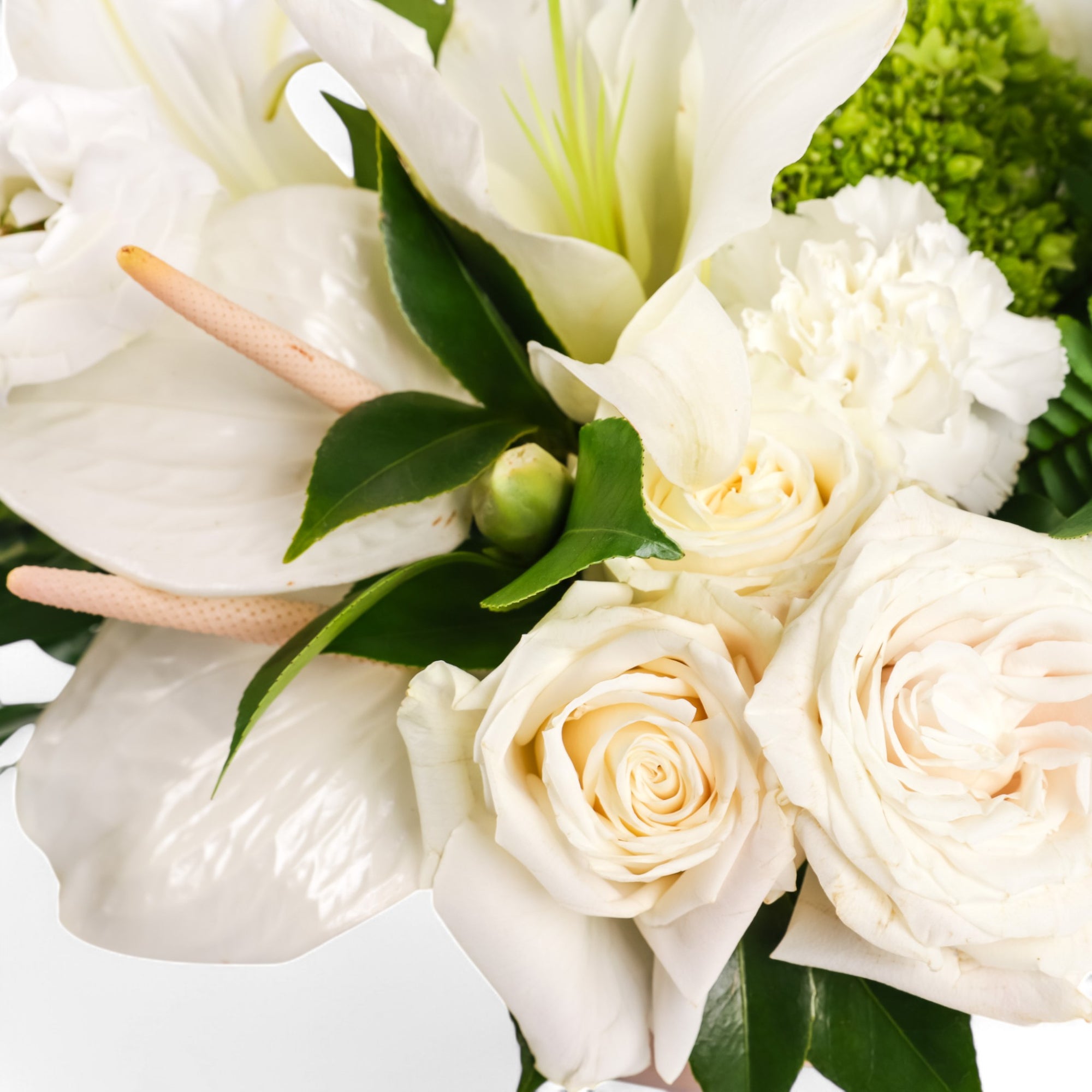 White Whispers Designer Floral from Green Fresh Florals + Plants